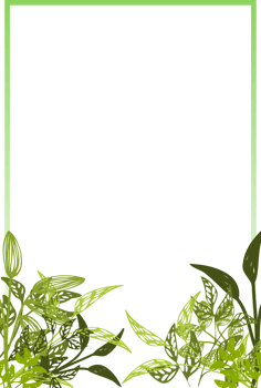 foliage frame png