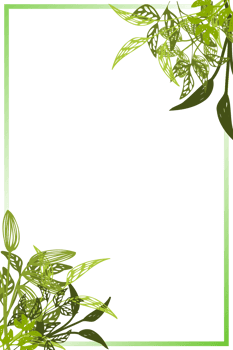 herb frame png