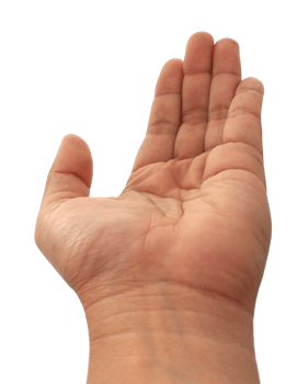 hand on transparent background png file