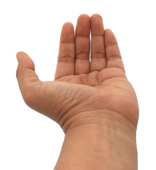 hand on transparent background png file