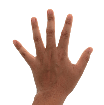 hand on transparent background png file