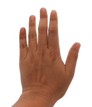 hand on transparent background png file