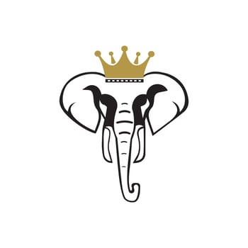 Elephant Logo Template Vector Illustration design