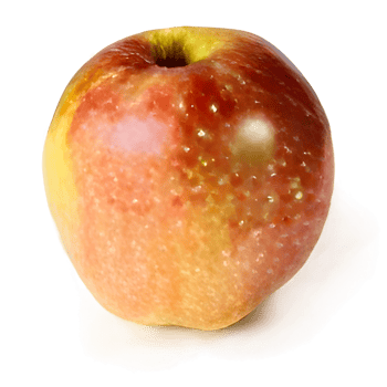 beautiful red apple without background for design png