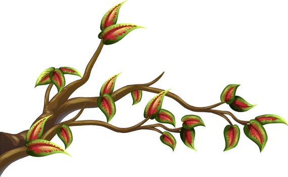 Tree branch isolated on white background vector