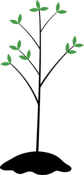 Planting tree seedling semi flat color vector object. Gardening activity. Full sized item on white. Transplanting sapling. Simple cartoon style illustration for web graphic design and animation