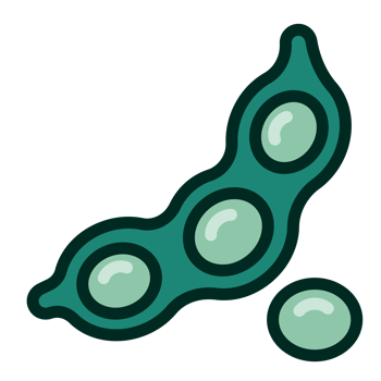 Edamame soybean flat green color png. png