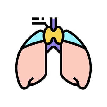 thymus endocrinology color icon vector illustration