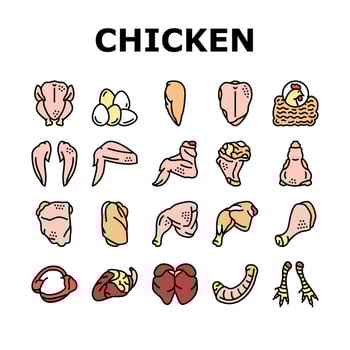 Chicken Animal Farm Raw Meat Food Icons Set Vector
