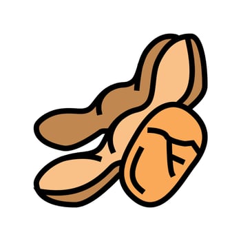 soy nut color icon vector illustration