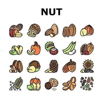 Nut Delicious Natural Nutrition Icons Set Vector