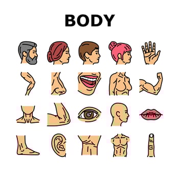 Body And Facial People Parts Icons Set Vector