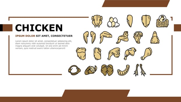 Chicken Animal Farm Raw Meat Food Landing Header Vector