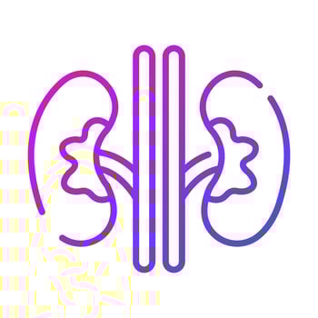 kidneys Modern concepts design, vector illustration