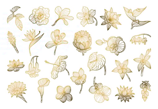 Exotic Flowers in a Linear Style vector