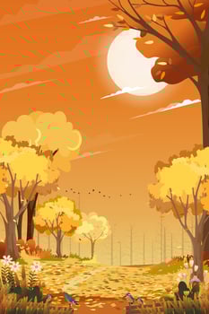 Autumn landscape forest with orange sky sunset,Vector Mid autumn natural in yellow foliage,Cartoon fall season at countryside with forest tree and grass field with sunrise,Backdrop natural banner vector