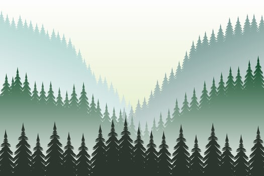 Vector panoramic landscape of fir trees in colorful hills