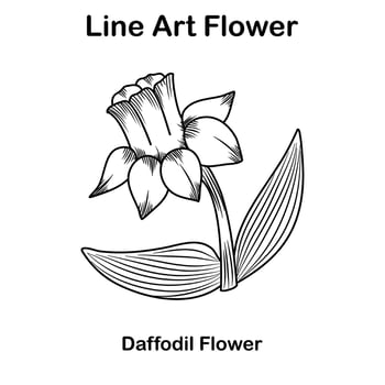 Sketch or line art daffodil flower vector