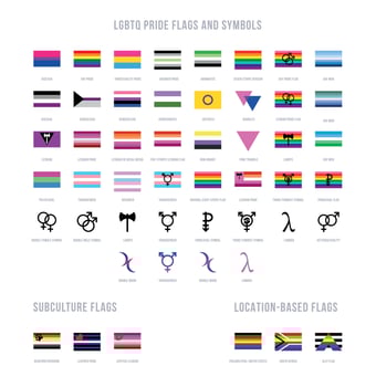 LGBT Pride Flags and Symbols vector