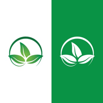 Logos of green tree leaf ecology vector