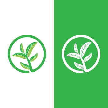 Logos of green tree leaf ecology vector