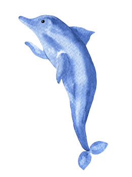 Watercolor sketch of cute cartoon jumping dolphin png