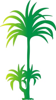 Palm trees with gradient. vector