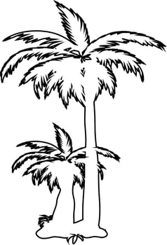 The contours of palm trees. vector