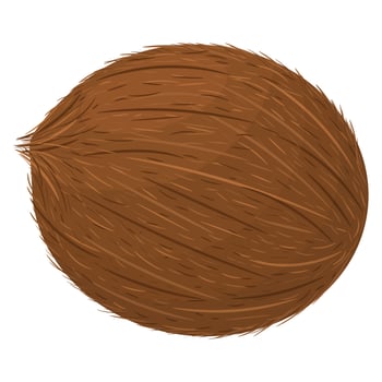 Cartoon detailed brown exotic whole coconut isolated on white background. Summer fruits for healthy lifestyle. Organic fruit. Cartoon style. Vector illustration for any design.