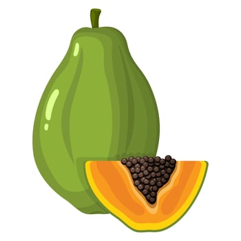 Fresh bright exotic whole and cut slice papaya fruit isolated on white background. Summer fruits for healthy lifestyle. Organic fruit. Cartoon style. Vector illustration for any design.