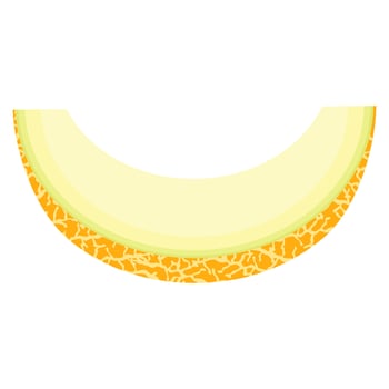 Fresh cut slice melon fruit isolated on white background. Honeydew melon. Summer fruits for healthy lifestyle. Organic fruit. Cartoon style. Vector illustration for any design.