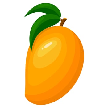 Fresh bright exotic whole mango isolated on white background. Summer fruits for healthy lifestyle. Organic fruit. Cartoon style. Vector illustration for any design.