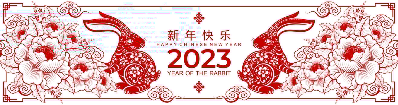 Happy chinese new year 2023 year of the rabbit vector