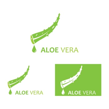 Aloe vera logo vector ilustration template