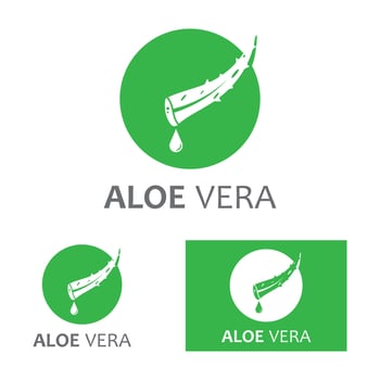 Aloe vera logo vector ilustration template