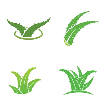 Aloe vera logo vector ilustration template
