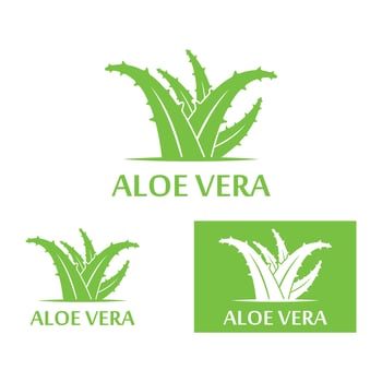 Aloe vera logo vector ilustration template