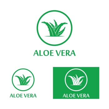 Aloe vera logo vector ilustration template