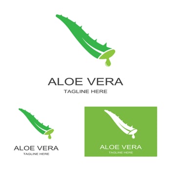 Aloe vera logo vector ilustration template