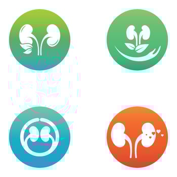 Kidney logo vector illusrtation