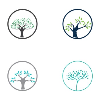 Living tree logo design, using a vector illustration template concept.