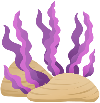 seaweed cute cartoon colourful sea element png