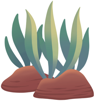 seaweed cute cartoon colourful sea element png