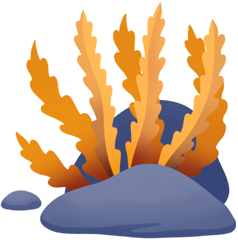 seaweed cute cartoon colourful sea element png