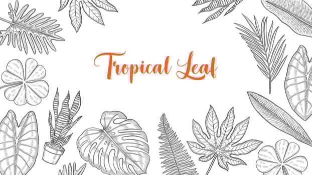 tropical leaf set collection with hand drawn sketch for background banner template poster vector
