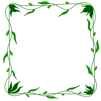 Hand drawn doodle color frame with plants and flowers png