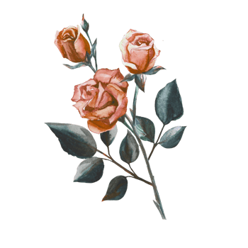 red roses watercolor png