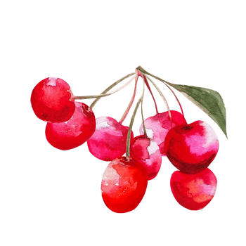 cherry red illustration png