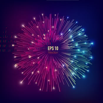 vivid firework element vector