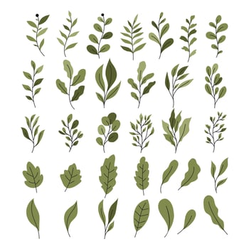 Vintage Set of Green Tropic Plant, Foliage Collection with colorful floral Botanical bundle Elements. Nature of plants garden. Hand drawn Flat Style, suitable for wedding invitation or banner vector